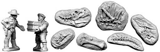 Palaeontologist and Fossils