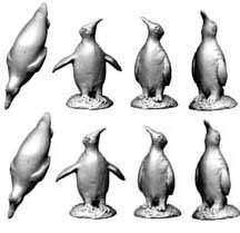 Frisky Penguins