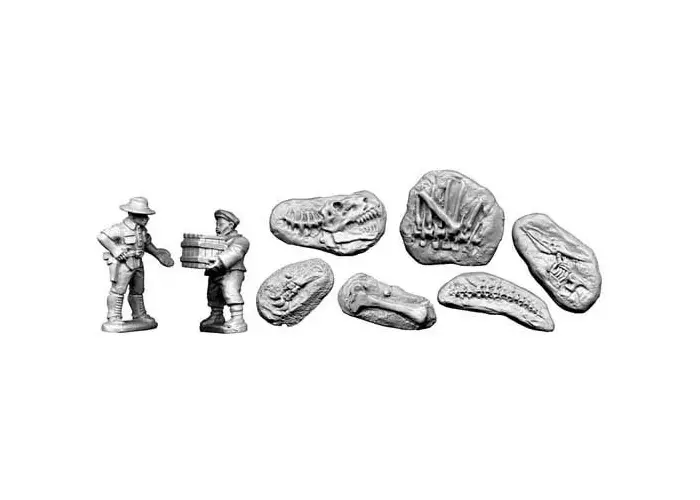 Palaeontologist and Fossils