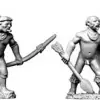Photo of Amazon Indian Chiefs (C22)