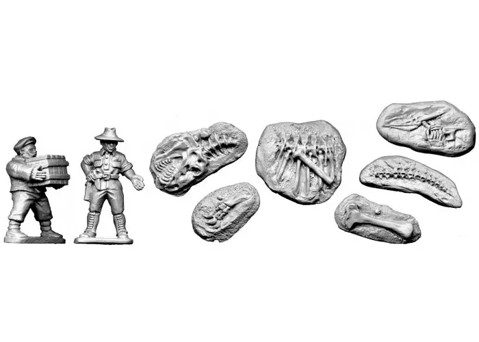 Palaeontologist and Fossils