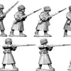 Photo of Siberian Rifles (BU10)