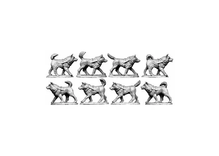 Husky Team
